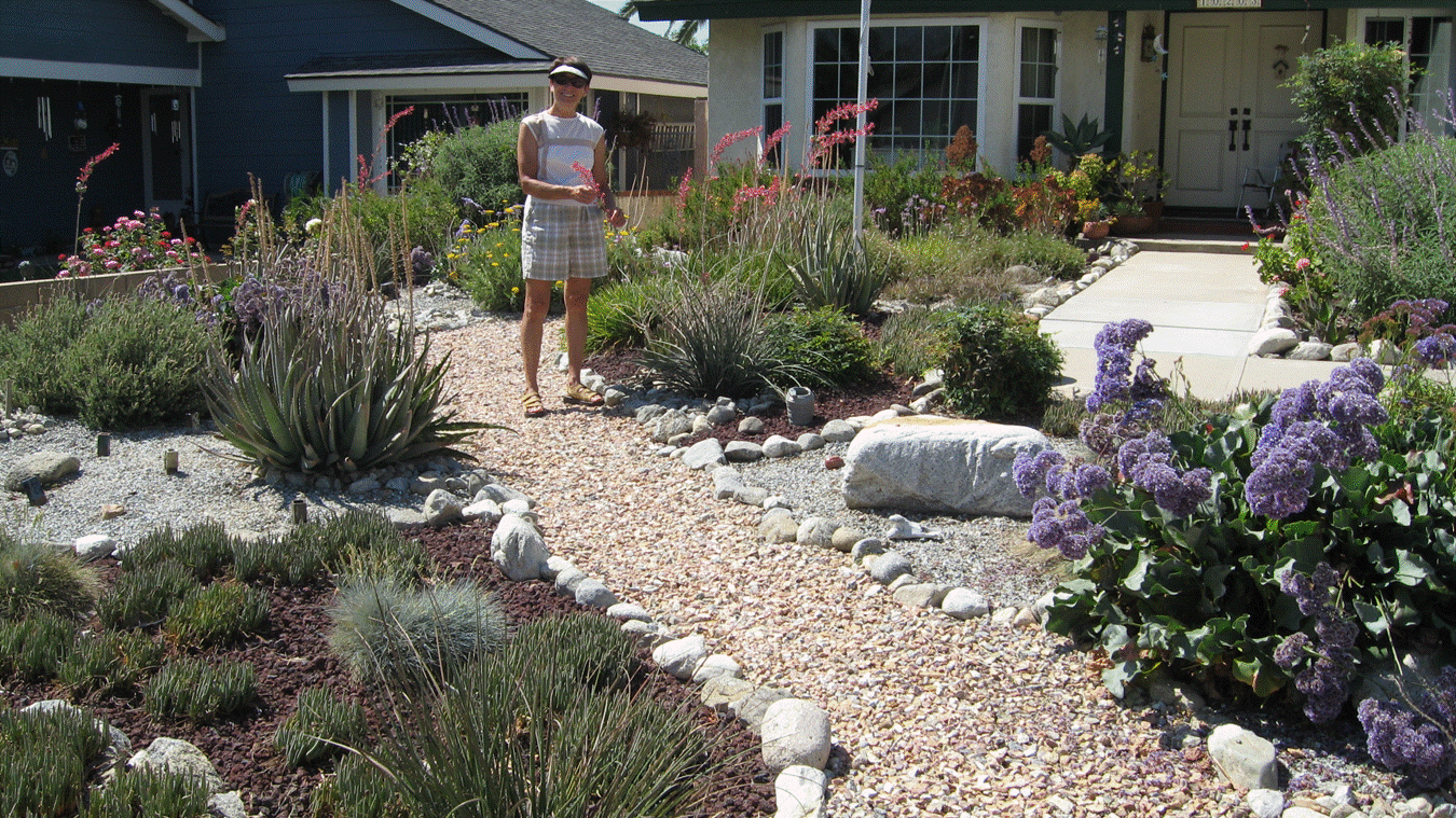 Nancy Brinkley - Grand Prize Winner